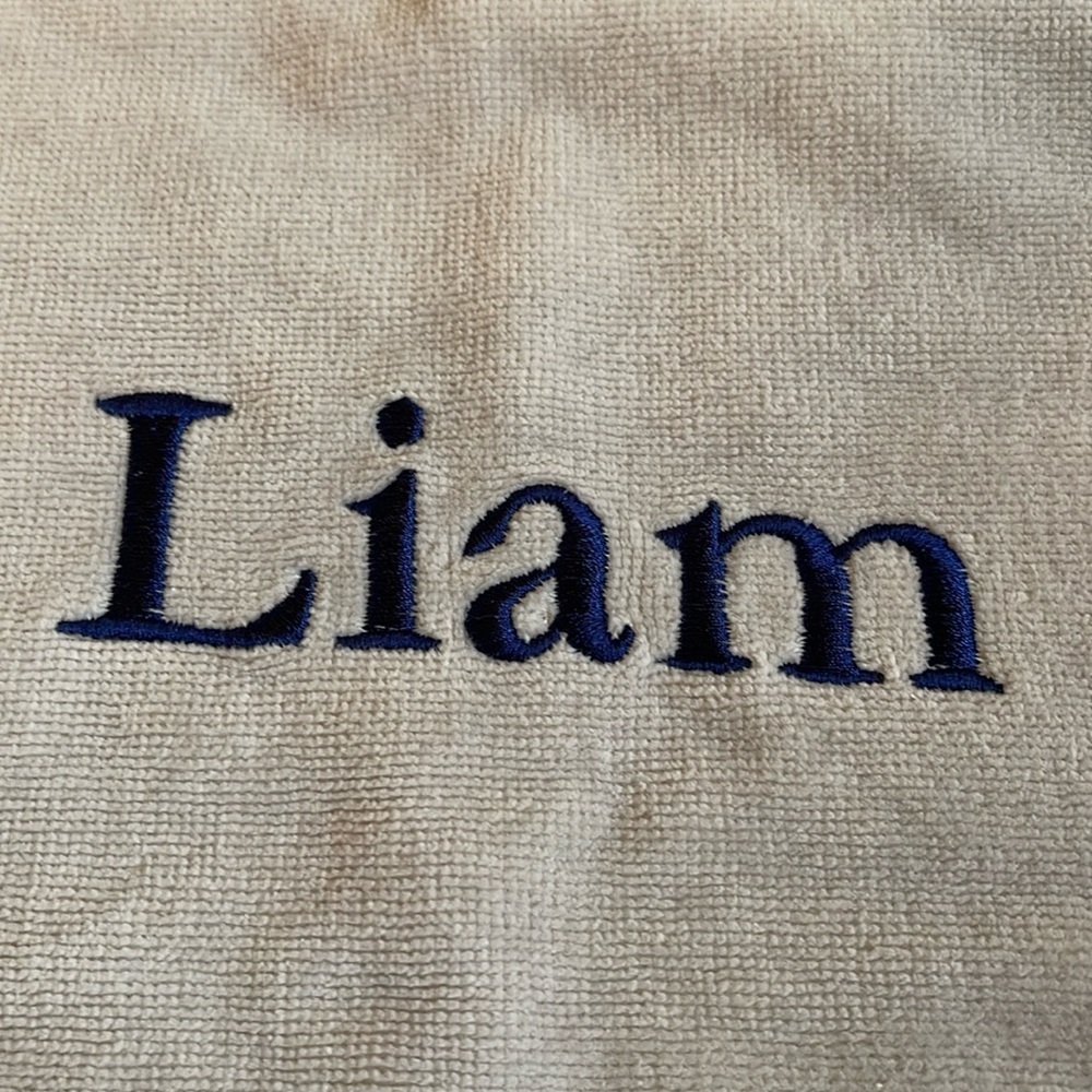 Bear Kid Hooded Towel Pottery Barn - Picture 7 of 11